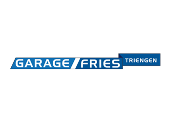 Garage Fries
